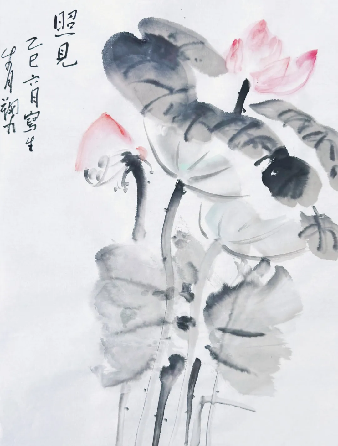 江罗四 《照见》 国画
