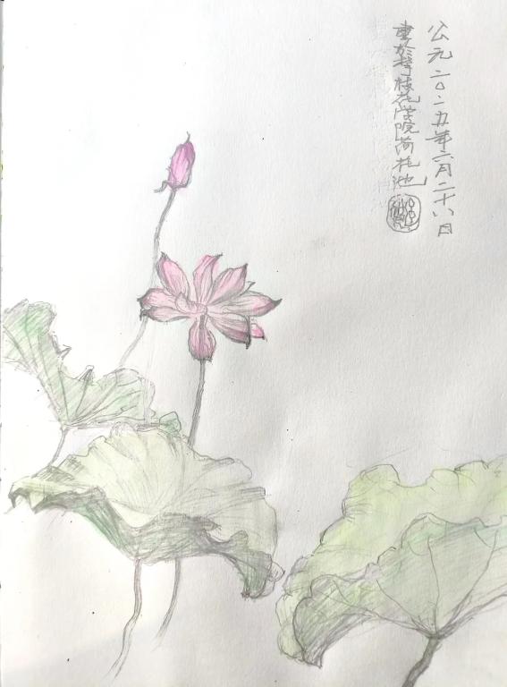 贺强 攀大校园写生 速写